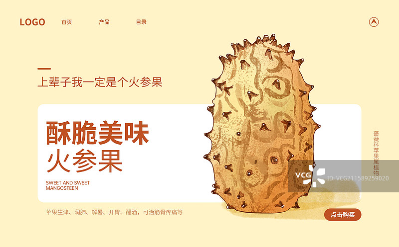 火参果插画海报设计模板图片素材