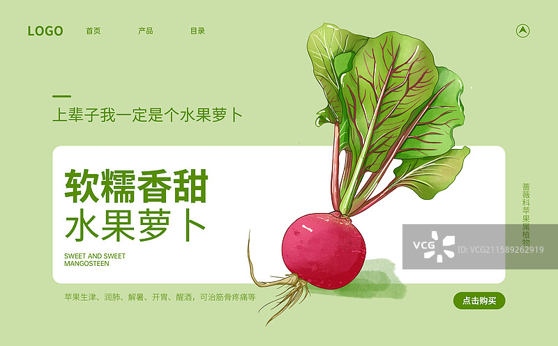 有叶子的红色萝卜插画海报设计模板图片素材