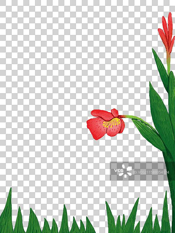 免抠插画元素  盛开的芭蕉花图片素材