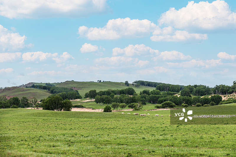 内蒙草原上的牛羊马群图片素材