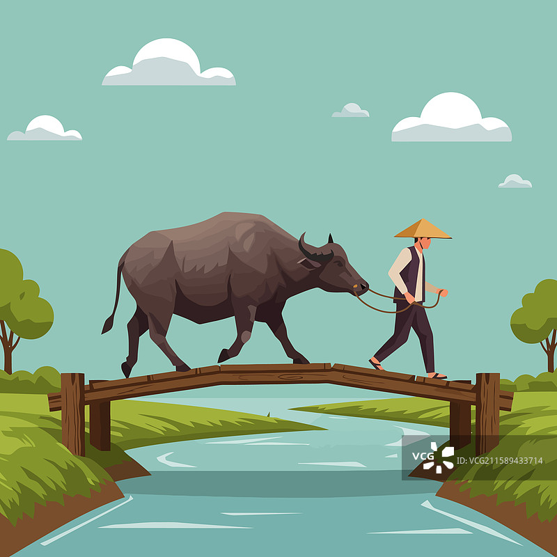 男人牵着水牛走过木桥图片素材
