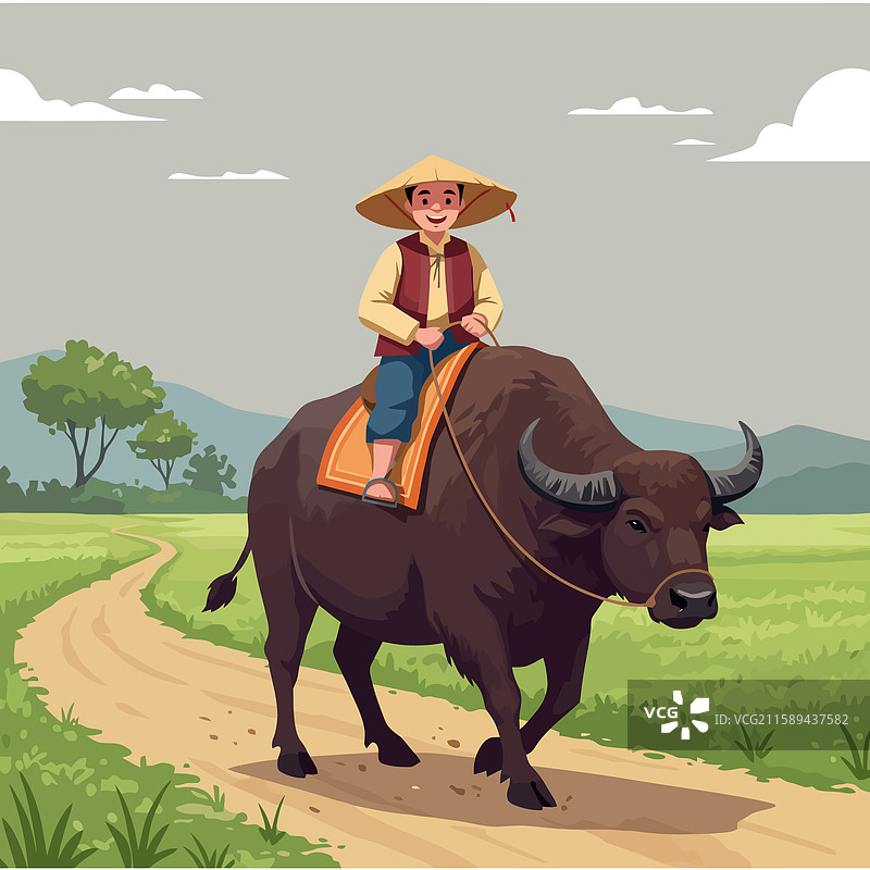 男孩在东南部的乡村小路上骑着水牛图片素材