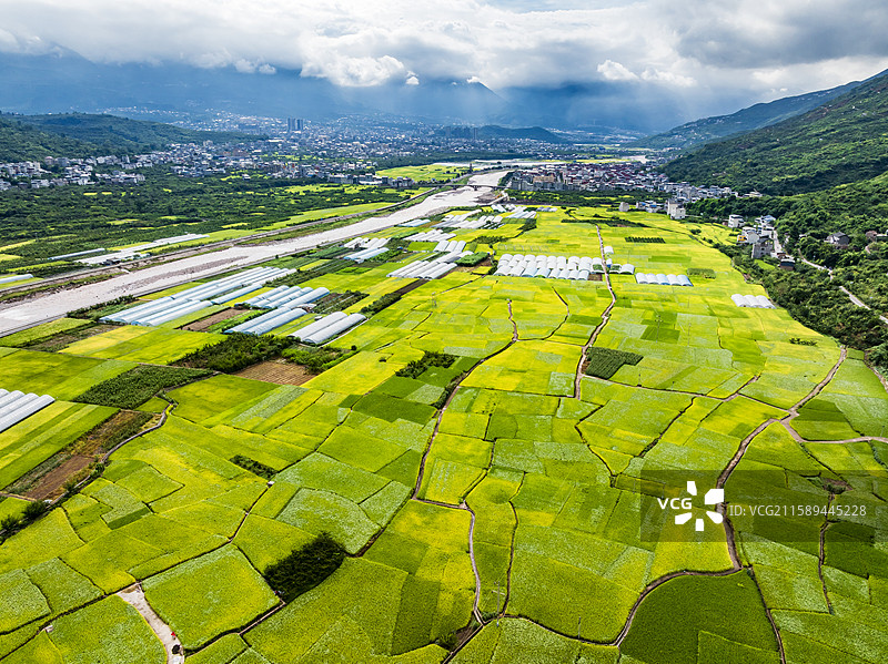 四川汉源九襄山水田园生态画卷稻田风光图片素材