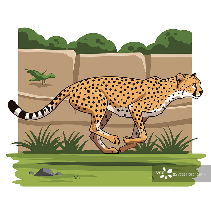 卡通风格的猎豹在绿意盎然的环境中奔跑图片素材