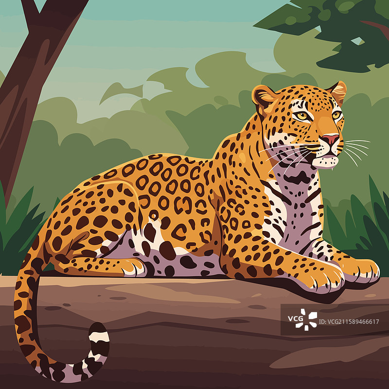 豹子在郁郁葱葱的树枝上休息图片素材