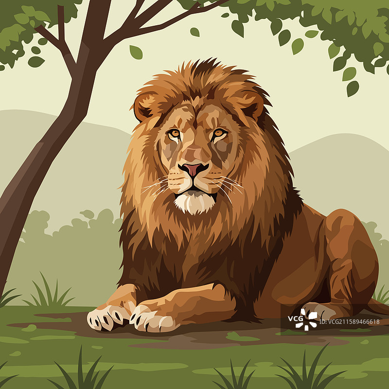 在自然环境中树下休息的狮子图片素材