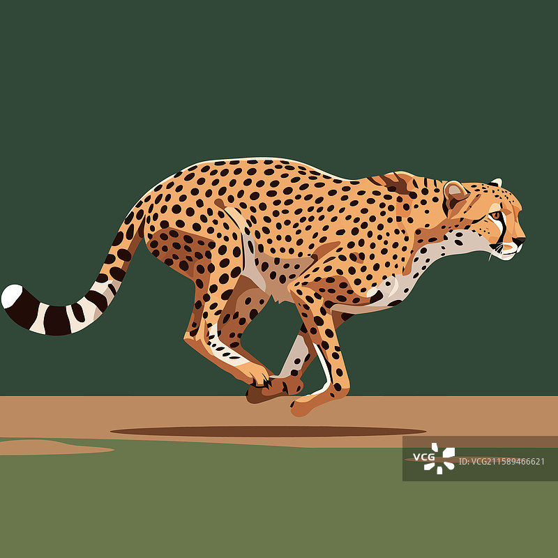 快速奔跑的猎豹图形，适用于野生动物设计图片素材