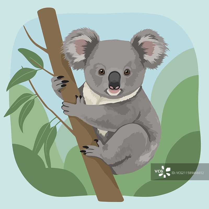 卡通考拉紧紧抱住树枝图片素材