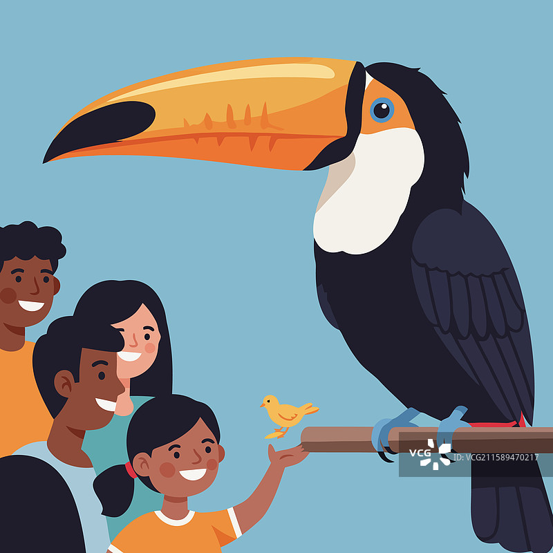 观察栖息在树枝上的巨嘴鸟与小动物图片素材