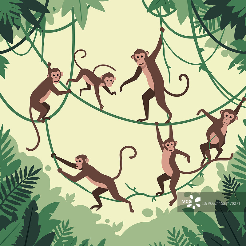 卡通风格的猴子在丛林中玩耍，荡秋千于藤蔓上图片素材
