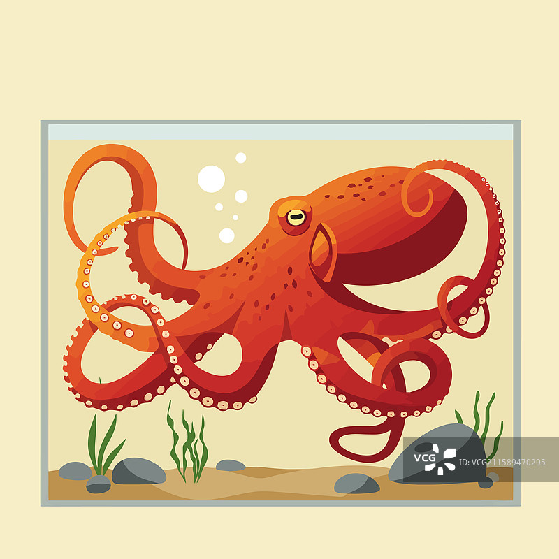 卡通章鱼在水族馆中游泳图片素材