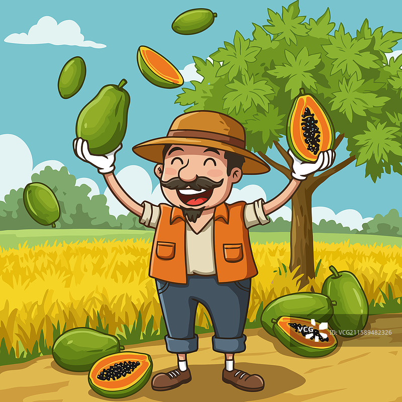 男子在乡村田野中玩杂耍新鲜木瓜图片素材