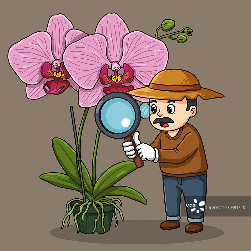 用放大镜观察粉色兰花图片素材