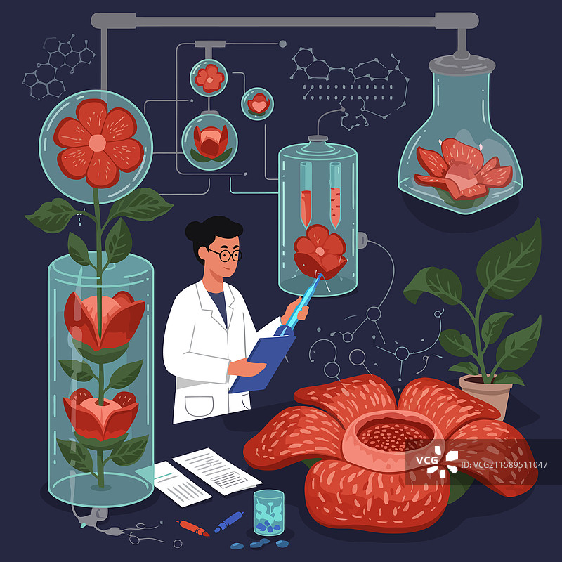 植物学家在实验室中检查花卉标本图片素材