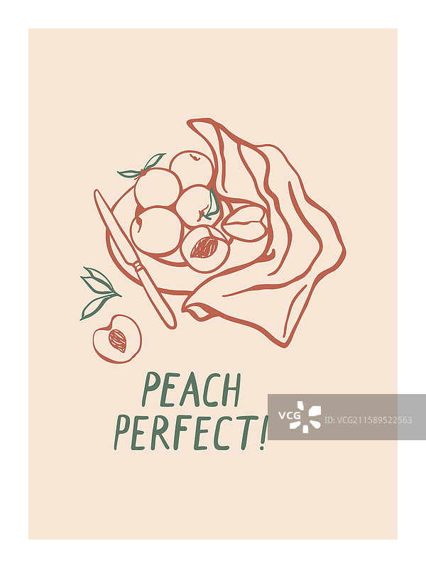 手绘桃子的构图图片素材