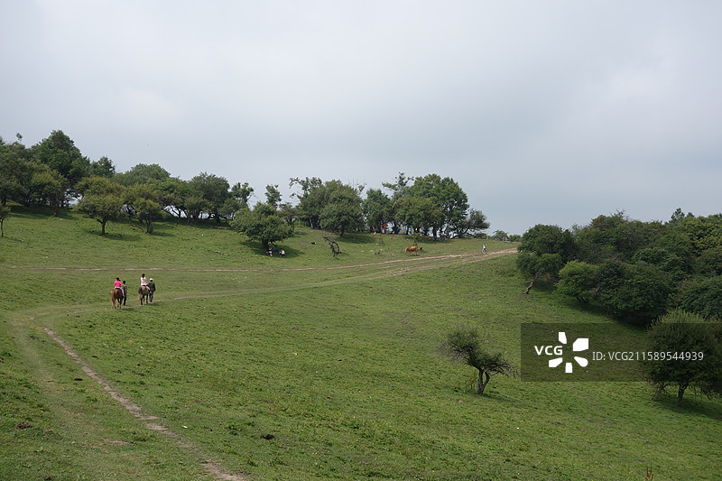 陕西省宝鸡市陇县固关镇高寒川草原图片素材