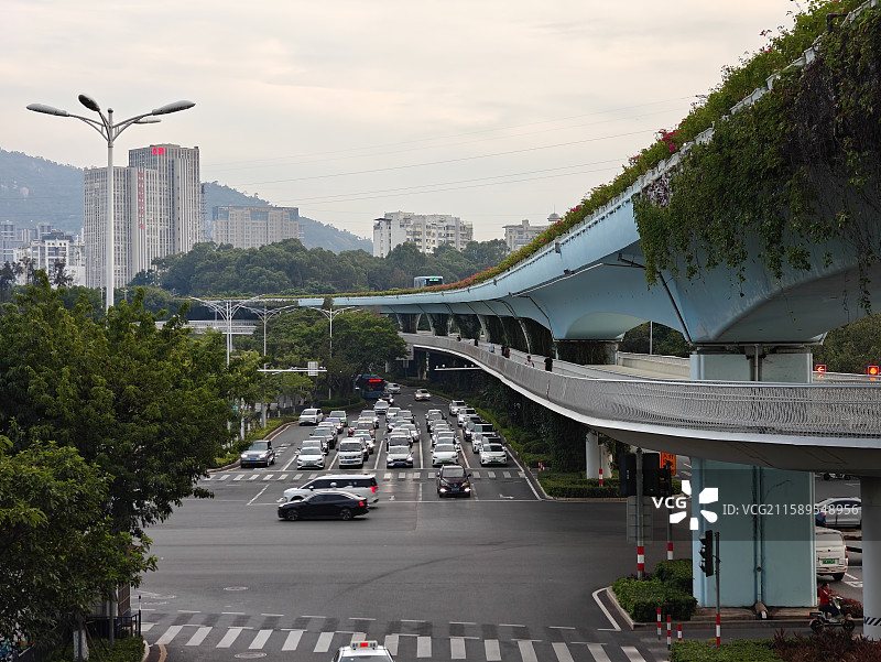 光影厦门之空中自行车道+BRT快速公交高架桥图片素材