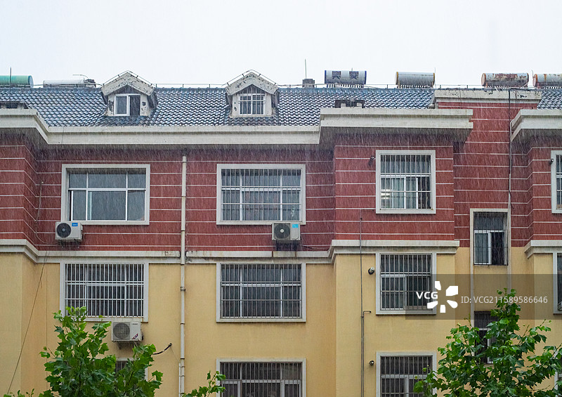 中国野生植物拍摄主题，雨天季节绿色的树冠和下雨的雨水落下和居民楼建筑，户外白昼无人图像摄影图片素材