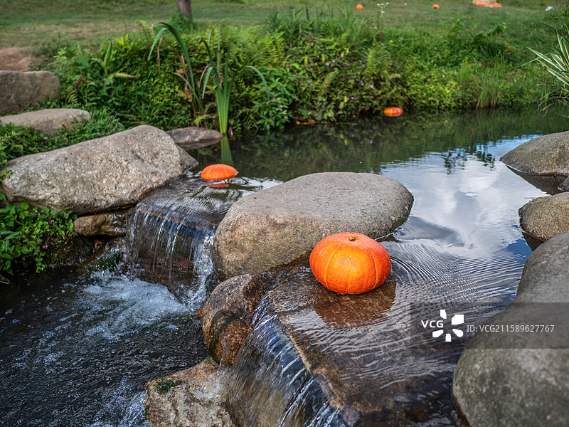 郴州仰天湖南瓜风景图片素材