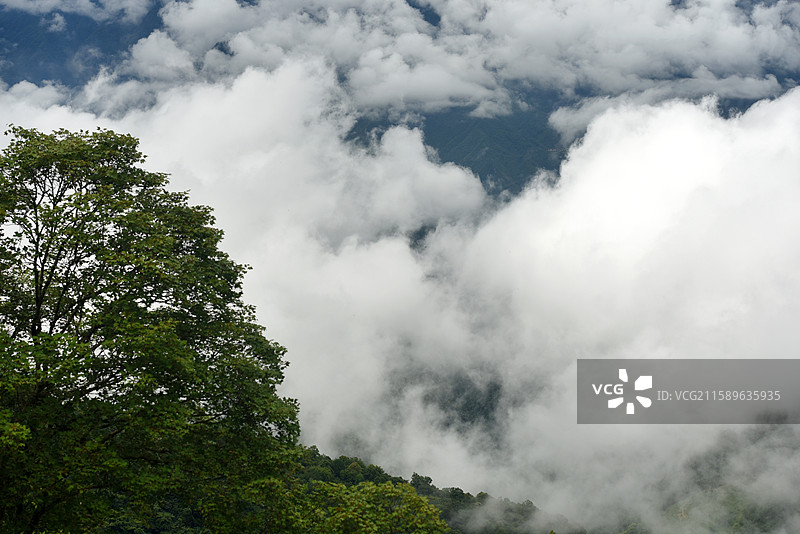 陕西安康岚皋南宫山云海图片素材