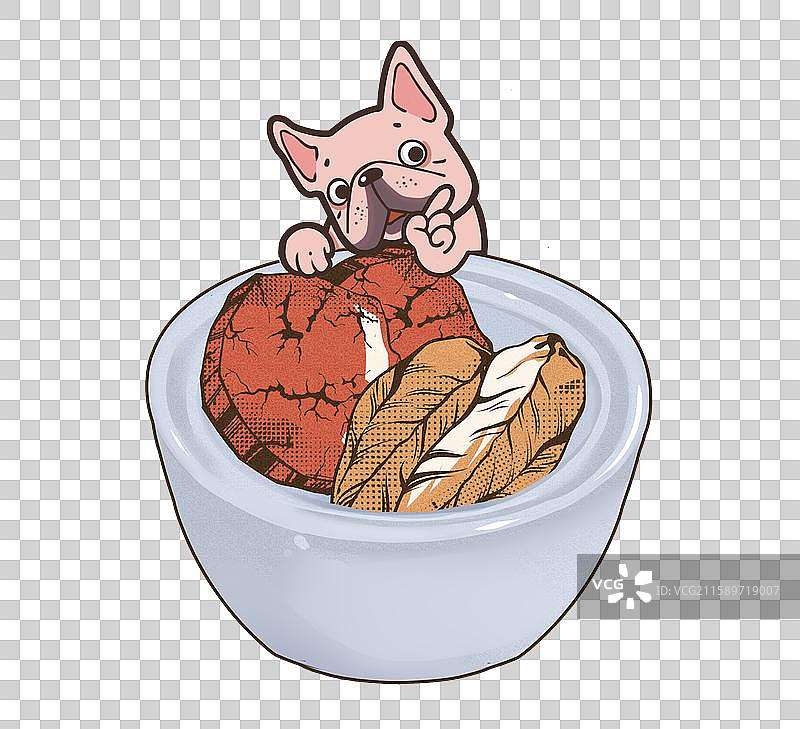 小狗推荐美食配方图片素材