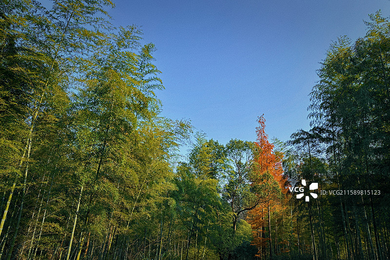 杭州 余杭 大禹谷 娘娘山 甘岭水库 杭州长乐森林公园图片素材