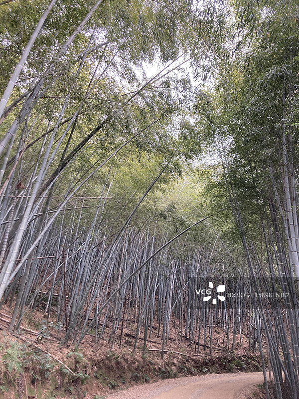 宁波 钱湖风景区 高山 湖泊 风景图片素材