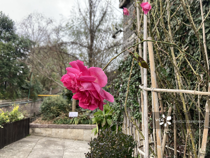 宁波 钱湖风景区 韩岭老街 风景 人文 风光图片素材