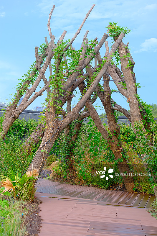 蝴蝶谷活动图片素材