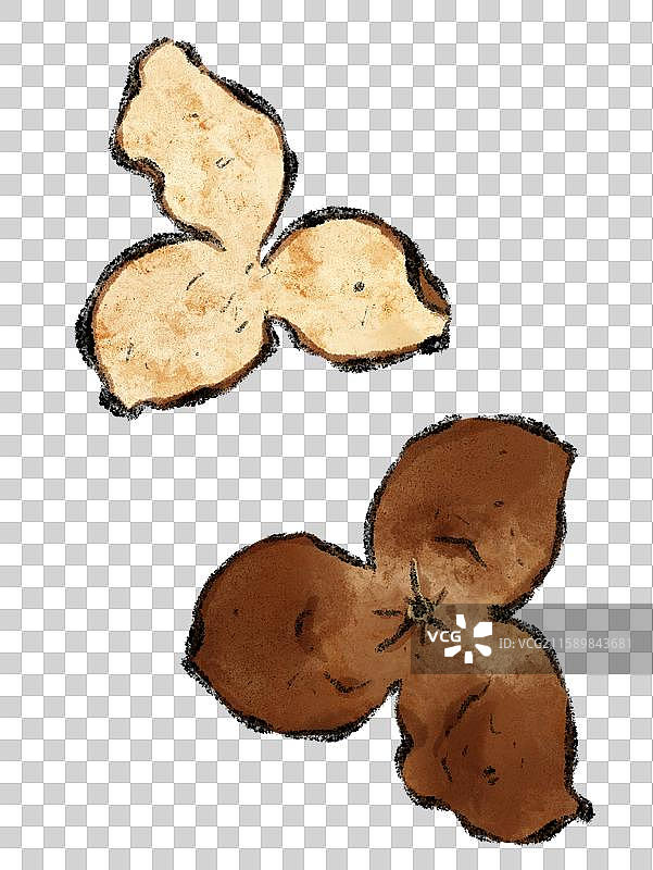 陈皮国风插画图片素材