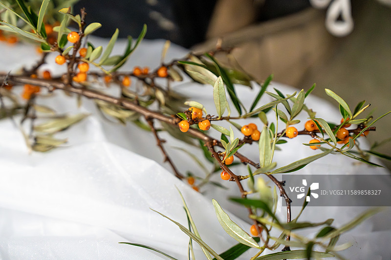 沙棘汁与沙棘果图片素材