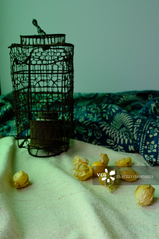 老煤油灯.蓝染布。树枝。老粗布和水果。菇娘果。白色背景。设计素材静物组合图片素材