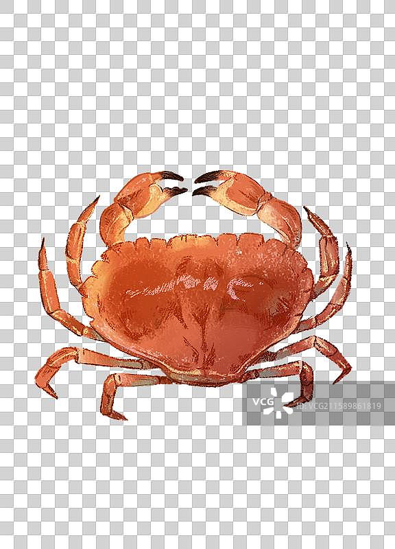 螃蟹图片素材