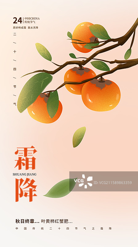 中国风节气封面设计海报模版-秋天-霜降 丰收的季节 树上的甜柿子 植物水果小清新 广告排版设计 竖版图片素材