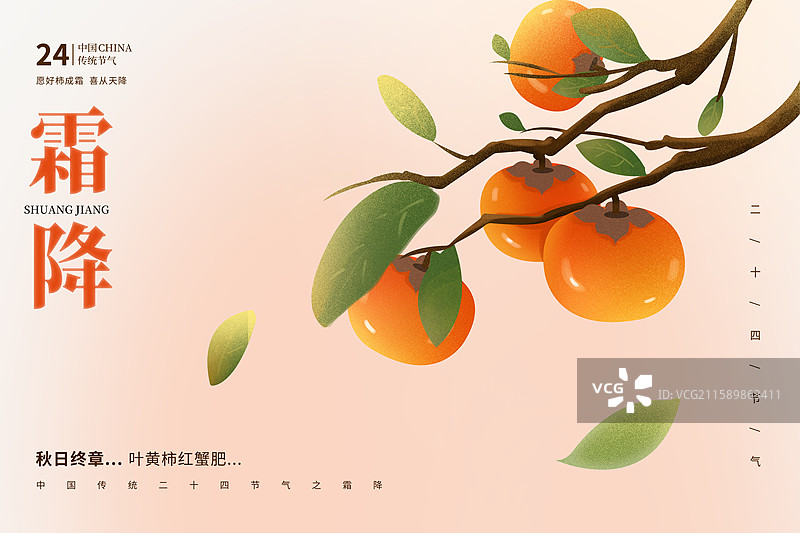 中国风节气封面设计海报模版-秋天-霜降 丰收的季节 树上的甜柿子 植物水果小清新 广告排版设计 横版图片素材