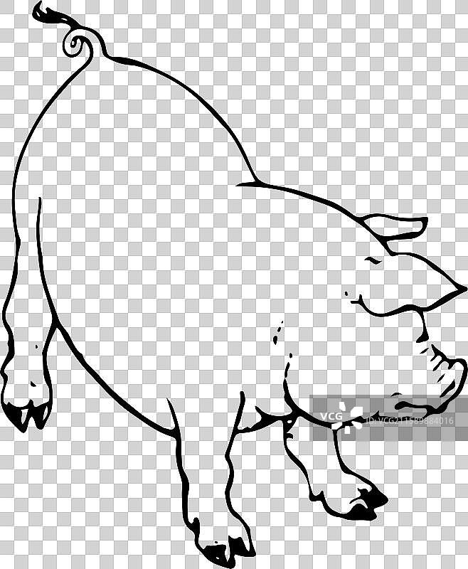 简笔画 猪 猪肉 猪年 生肖图片素材