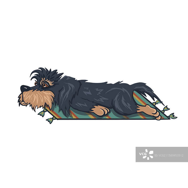 疲惫的卡通狗躺在地毯上图片素材