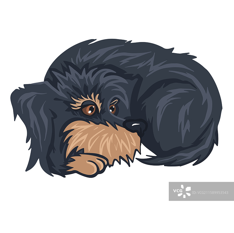 杂种狗蜷缩成一团的彩色卡通图像图片素材