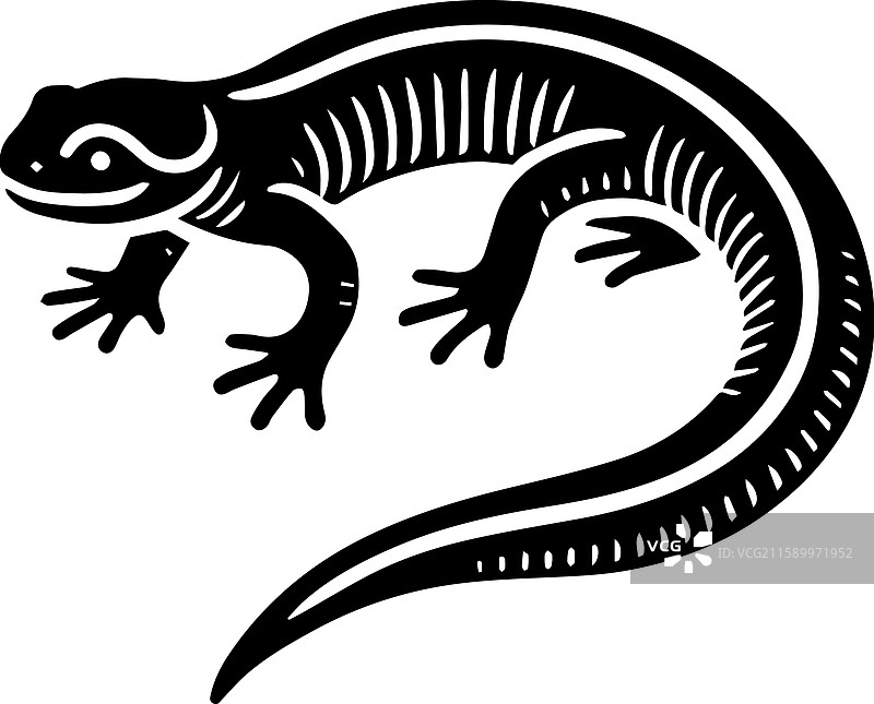 委内瑞拉蝾螈标志的简单图标图片素材