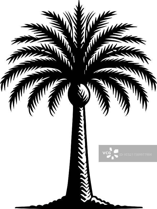 简单的莫里切棕榈图标设计图片素材