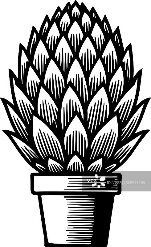 简单的Frailejn标志设计图标图片素材