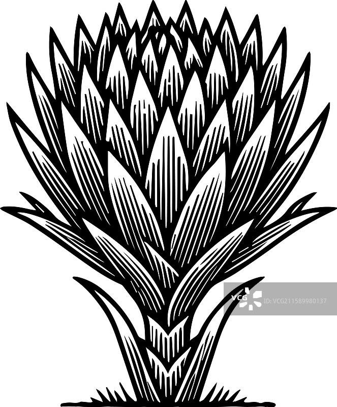 简单的Frailejn标志设计图标图片素材