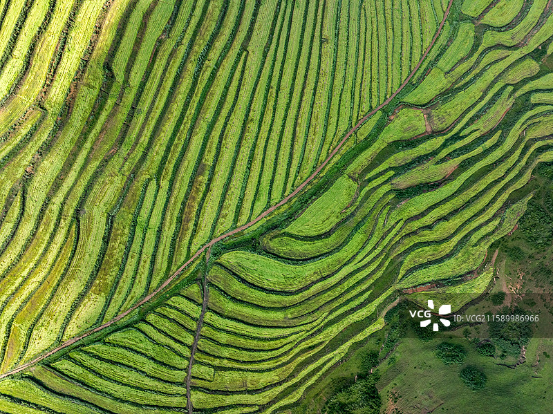 甘肃甘南卓尼县观景台梯田风光航拍图片素材