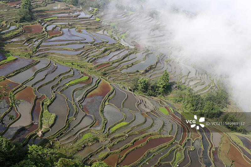 云南省红河州元阳县老鹰嘴梯田图片素材