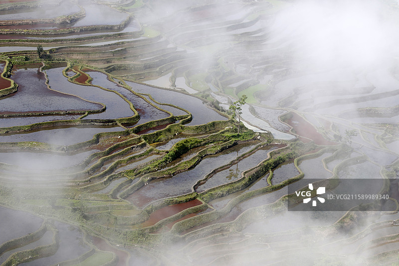 云南省红河州元阳县老鹰嘴梯田图片素材