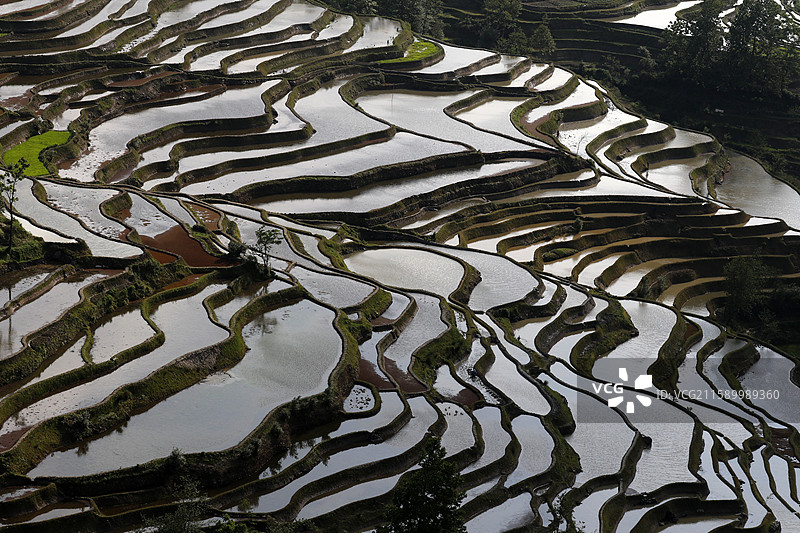 云南省红河州元阳县老鹰嘴梯田图片素材