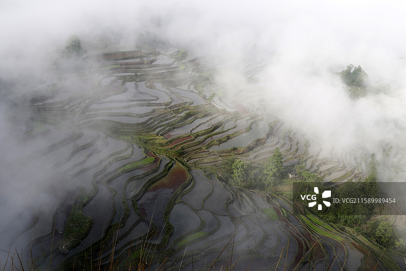 云南省红河州元阳县老鹰嘴梯田图片素材