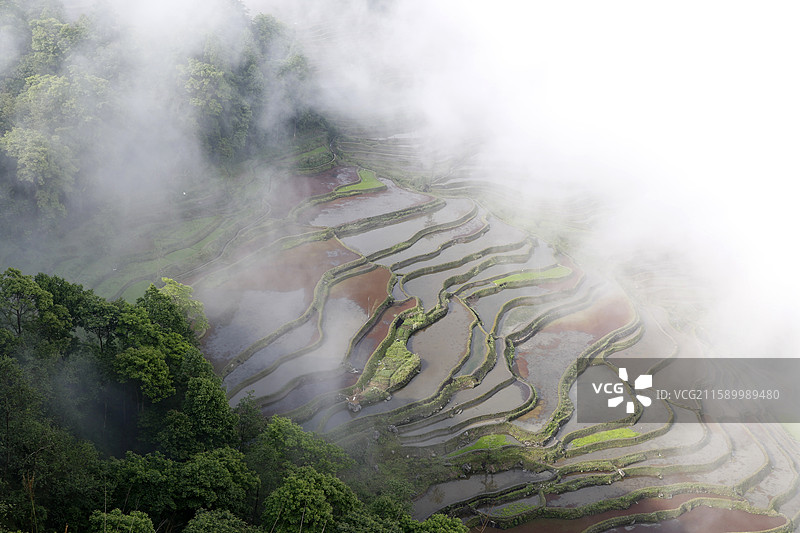 云南省红河州元阳县老鹰嘴梯田图片素材