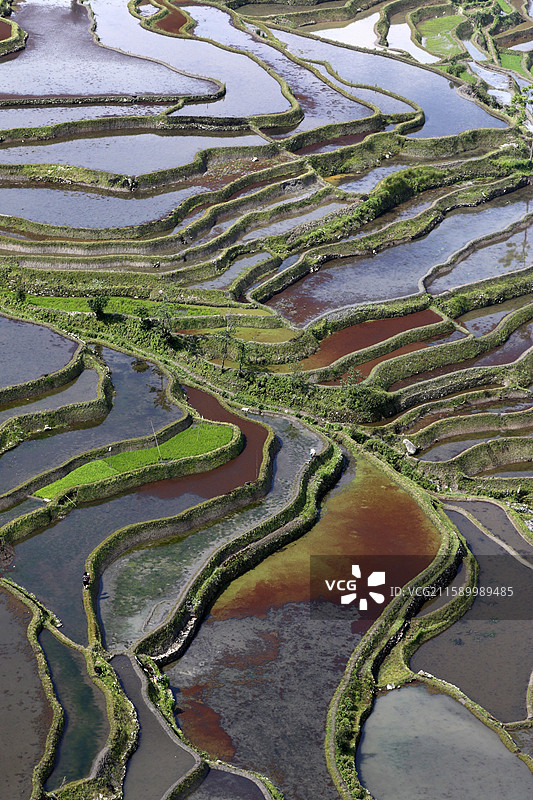 云南省红河州元阳县老鹰嘴梯田图片素材