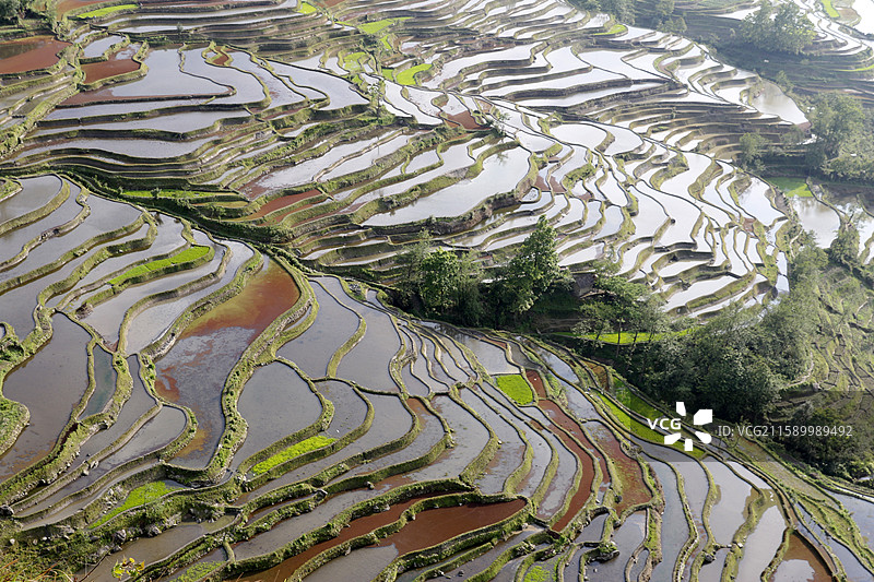 云南省红河州元阳县老鹰嘴梯田图片素材
